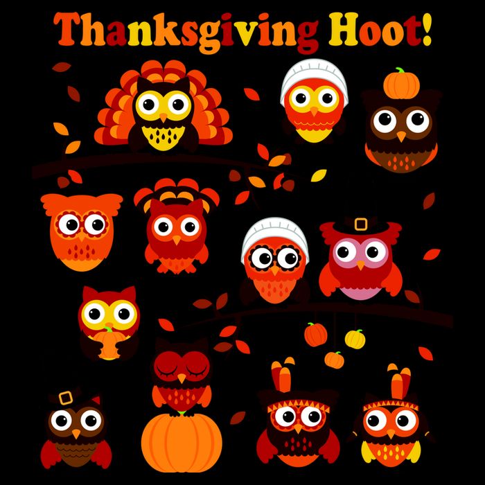 It's a Thanksgiving Hoot Owl Mashup Cropped Pullover Crew