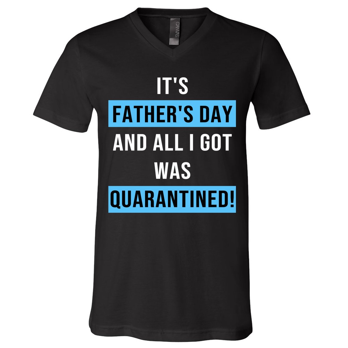 It's Father's Day And All I Got Was Quarantined V-Neck T-Shirt