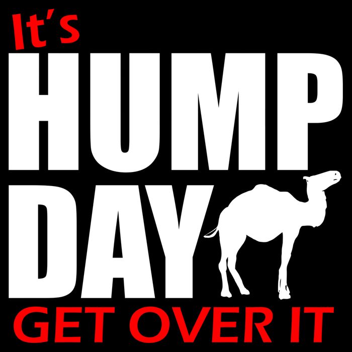 It's Hump Day Get Over It Cropped Pullover Crew