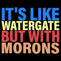 It's Like Watergate But With Morons Womens T-Shirt