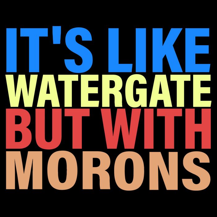 It's Like Watergate But With Morons Womens T-Shirt