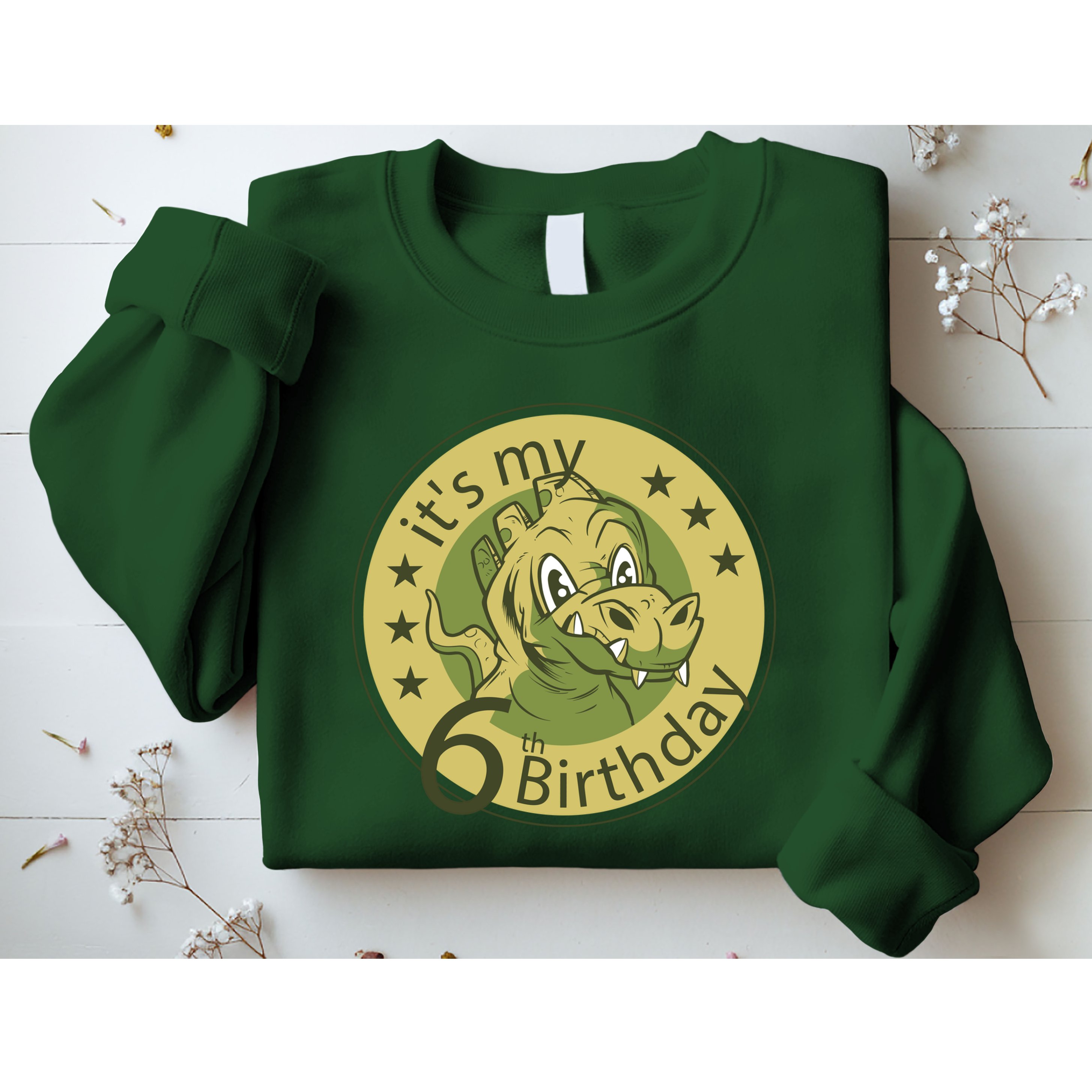 It's My 6th Birthday Dinosaur Sweatshirt