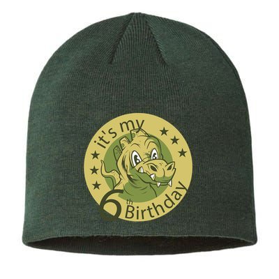 It's My 6th Birthday Dinosaur Sustainable Beanie