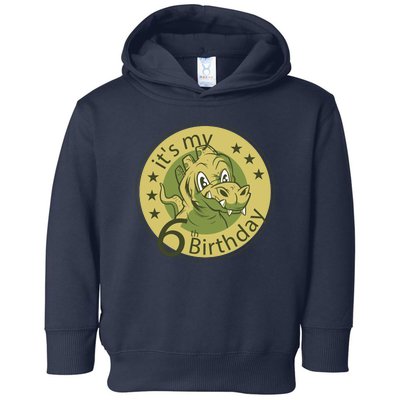 It's My 6th Birthday Dinosaur Toddler Hoodie