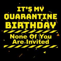 It's My Quarantine Birthday None Of You Are Invited Cropped Pullover Crew