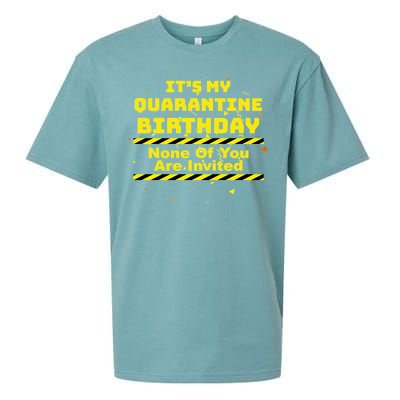 It's My Quarantine Birthday None Of You Are Invited Sueded Cloud Jersey T-Shirt