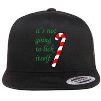 It's Not Going To Lick Itself Funny Naughty Christmas Flat Bill Trucker Hat