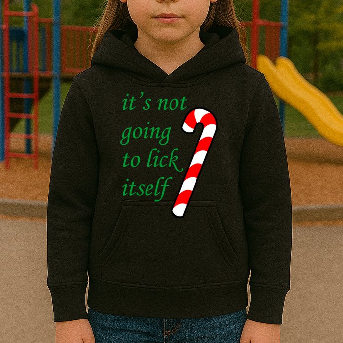 It's Not Going To Lick Itself Funny Naughty Christmas Kids Hoodie