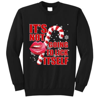It's Not Going To Lick Itself Funny X-Mas Sweatshirt