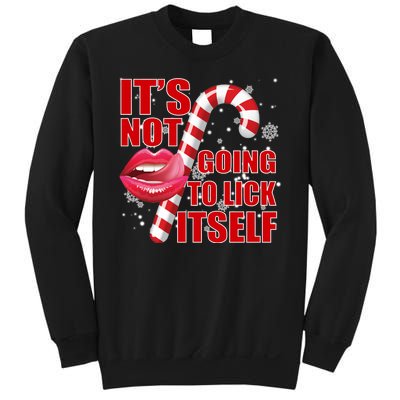 It's Not Going To Lick Itself Funny X-Mas Sweatshirt