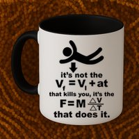 It's Not The Velocity That Kills You It's The Fall Mug