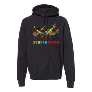 It's Ok To Be Different Dinosaur Autism Awareness Premium Hoodie