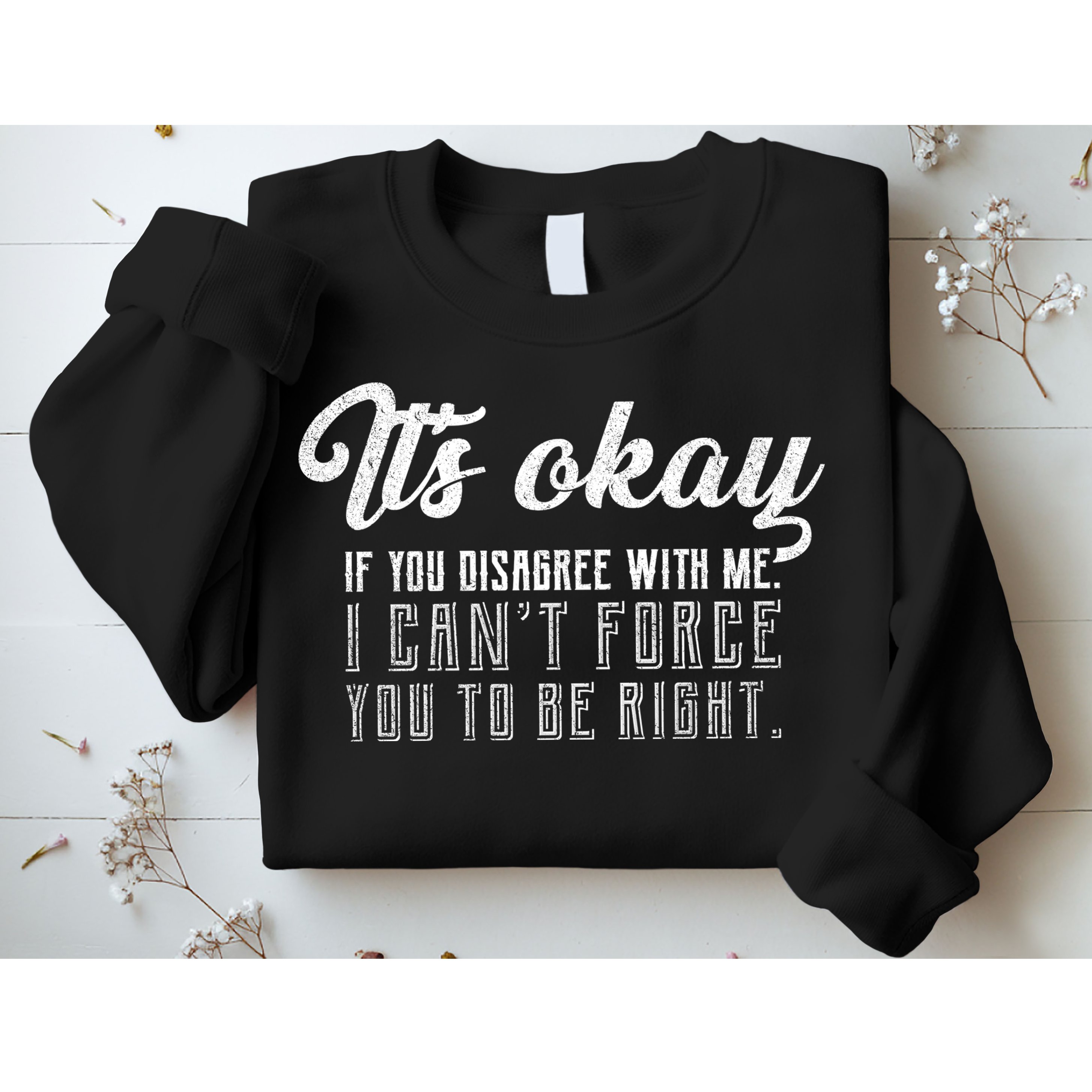 It's Okay Disagree With Me Funny Meme Sweatshirt