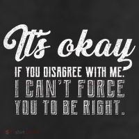 It's Okay Disagree With Me Funny Meme Adult Drive Performance Visor