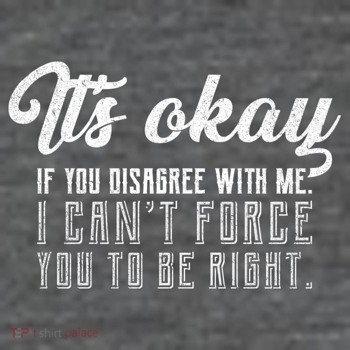 It's Okay Disagree With Me Funny Meme Hoodie