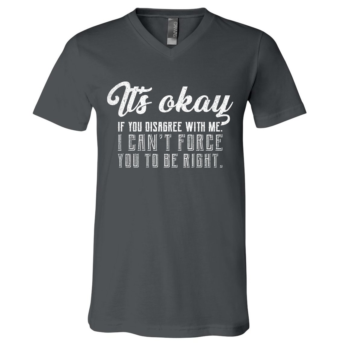 It's Okay Disagree With Me Funny Meme V-Neck T-Shirt