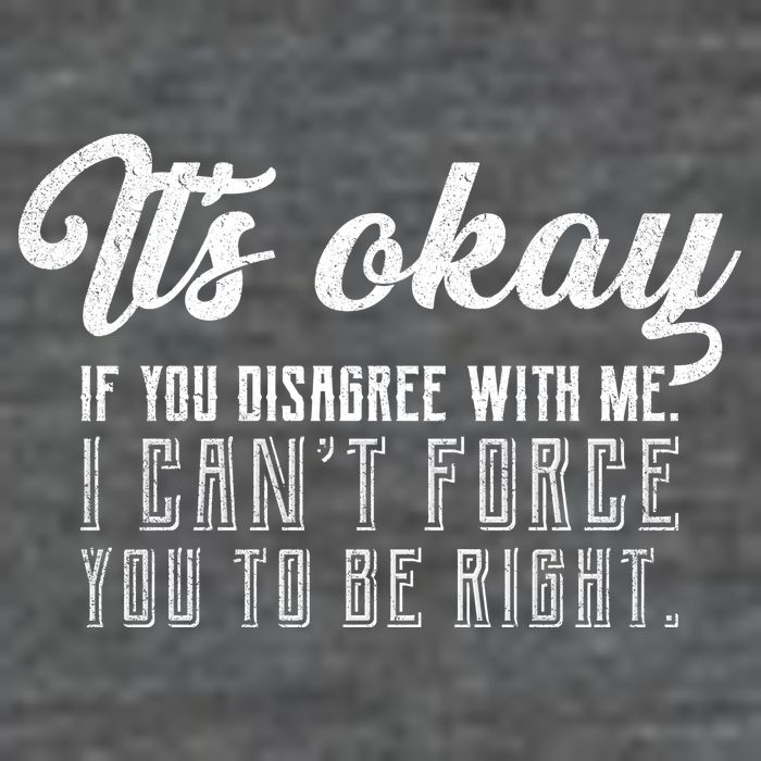 It's Okay Disagree With Me Funny Meme Premium T-Shirt