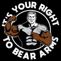 It's Your Right To Bear Arms Women's V-Neck T-Shirt