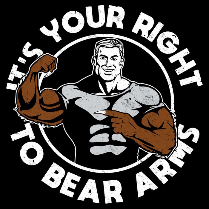 It's Your Right To Bear Arms Women's V-Neck T-Shirt