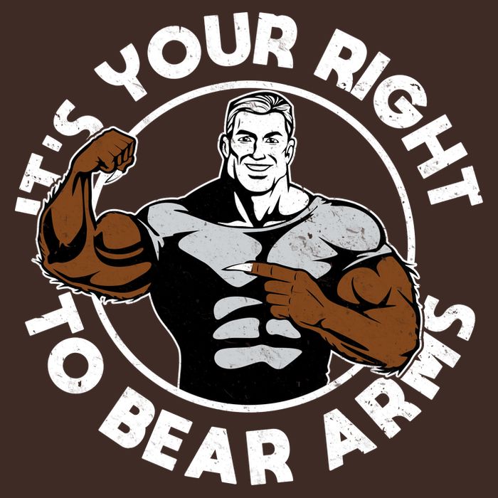 It's Your Right To Bear Arms Poster