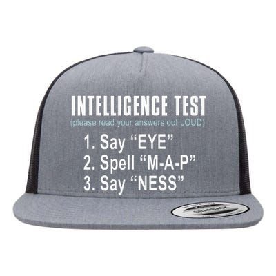 Intelligence Test Say Eye M A P Ness Funny Dad Joke Flat Bill Trucker Hat