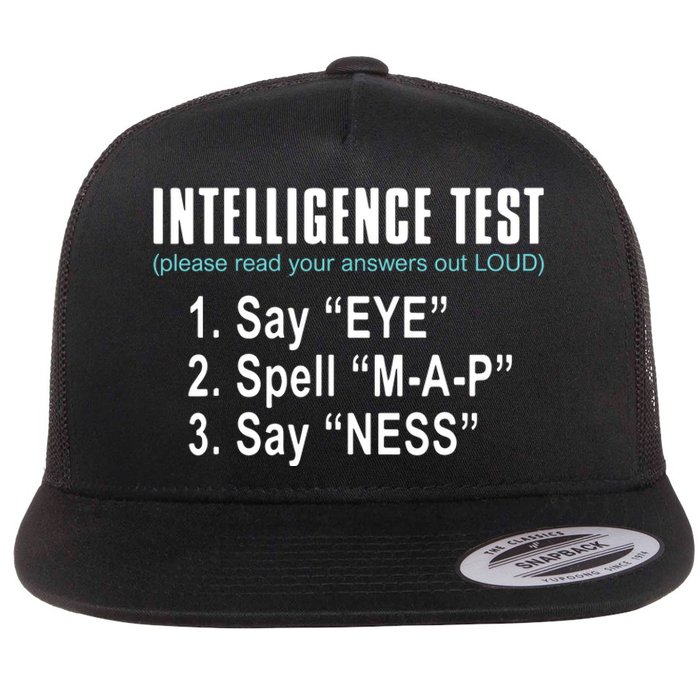 Intelligence Test Say Eye M A P Ness Funny Dad Joke Flat Bill Trucker Hat