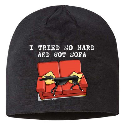 I Tried So Hard And Got Sofa Funny Dog Meme Sustainable Beanie