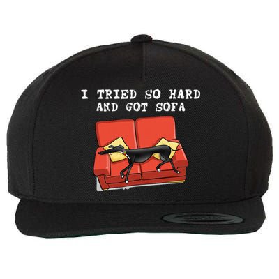 I Tried So Hard And Got Sofa Funny Dog Meme Wool Snapback Cap