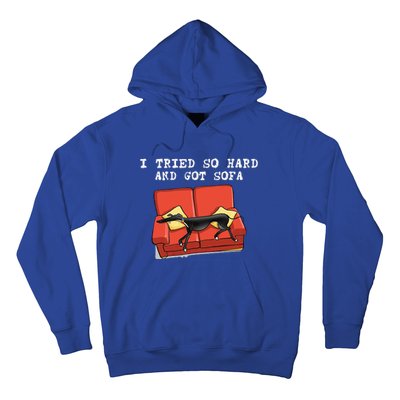 I Tried So Hard And Got Sofa Funny Dog Meme Quote Sarcastic Hoodie