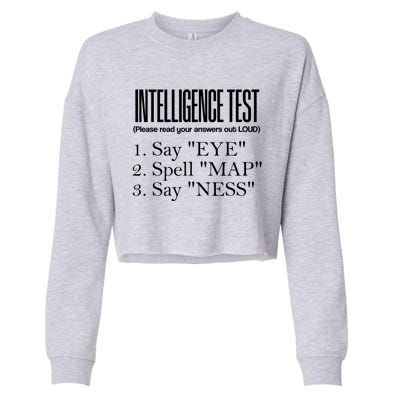 Intelligence Test Say Eye M A P Ness Funny Dad Joke Gifts Cropped Pullover Crew