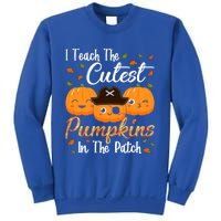 I Teach The Cutest Pumpkins In The Patch Cute Halloween Meaningful Gift Sweatshirt