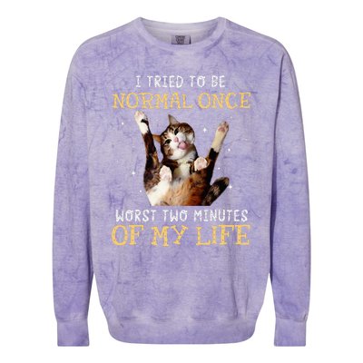 I Tried To Be Normal Once Worst Two Minutes Of My Life Colorblast Crewneck Sweatshirt