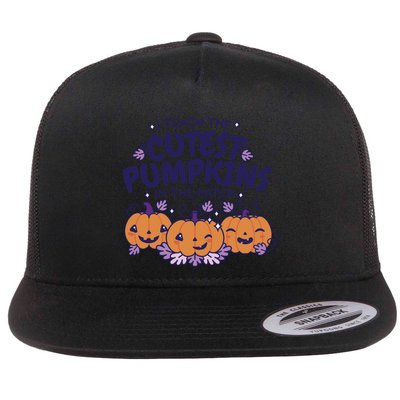 I Teach The Cutest Pumpkins In The Patch Flatbill Hat