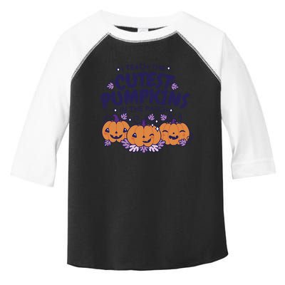 I Teach The Cutest Pumpkins In The Patch Toddler Fine Jersey T-Shirt