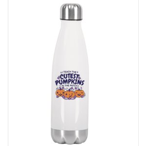 I Teach The Cutest Pumpkins In The Patch Stainless Steel Insulated Water Bottle