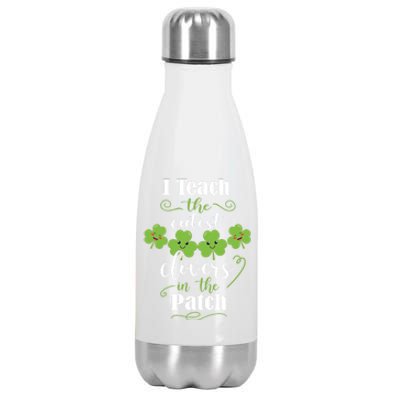 I Teach The Cutest Clovers In The Patch St Patricks Day Gift Stainless Steel Insulated Water Bottle