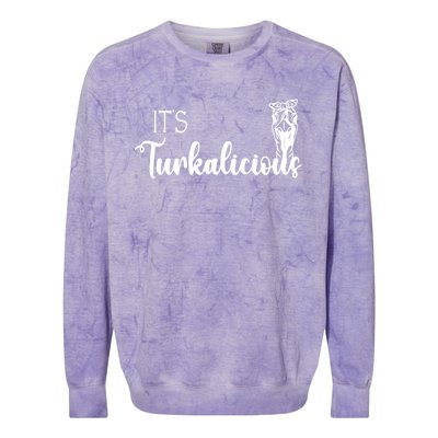 Its Turkalicious Thanksgiving Turkey Family Cute Gift Colorblast Crewneck Sweatshirt