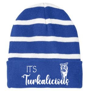 Its Turkalicious Thanksgiving Turkey Family Cute Gift Striped Beanie with Solid Band