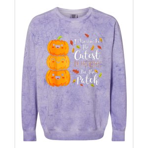 I Teach The Cutest Pumpkins In The Patch Teacher Halloween Colorblast Crewneck Sweatshirt