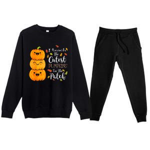 I Teach The Cutest Pumpkins In The Patch Teacher Halloween Premium Crewneck Sweatsuit Set