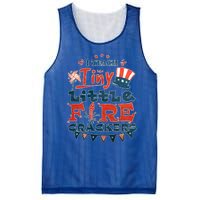 I Teach Tiny Little Firecrackers 4 Th Of July Patriotic Day Gift Mesh Reversible Basketball Jersey Tank