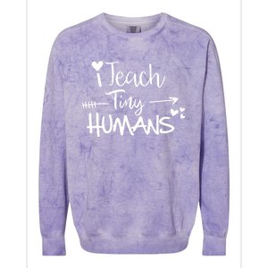 I Teach Tiny Hu Preschool Teacher Homeschool Moms Gift Colorblast Crewneck Sweatshirt