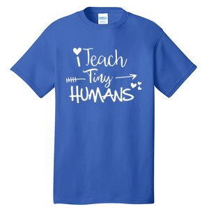 I Teach Tiny Hu Preschool Teacher Homeschool Moms Gift Tall T-Shirt