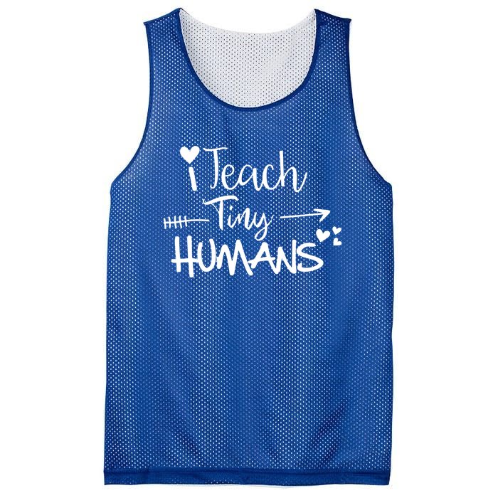 I Teach Tiny Hu Preschool Teacher Homeschool Moms Gift Mesh Reversible Basketball Jersey Tank