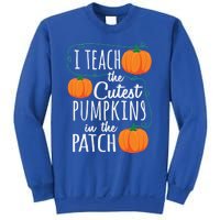 I Teach The Cutest Pumpkins In The Patch Gift Sweatshirt