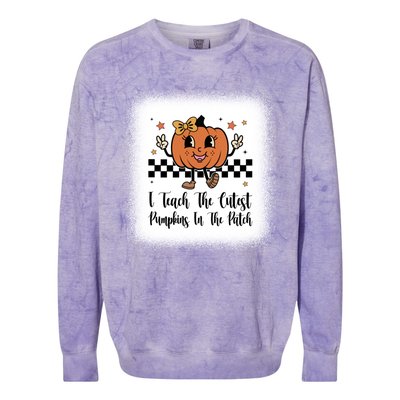 I Teach The Cutest Pumpkins In The Patch Happy Thanksgiving Cool Gift Colorblast Crewneck Sweatshirt