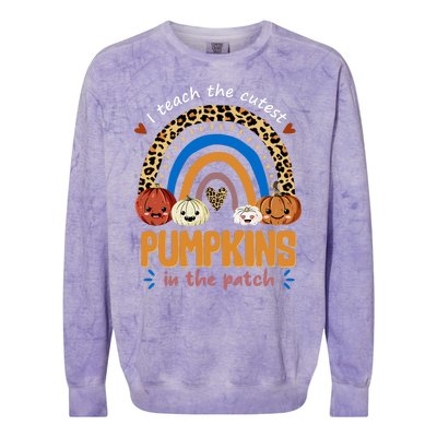 I Teach The Cutest Pumpkins In The Patch Leopard Colorblast Crewneck Sweatshirt