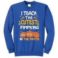 I Teach The Cutest Pumpkins In The Patch Gift Sweatshirt