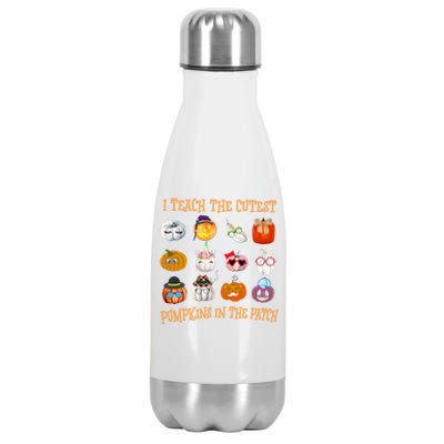 I Teach The Cutest Pumpkin In The Patch Gift Stainless Steel Insulated Water Bottle