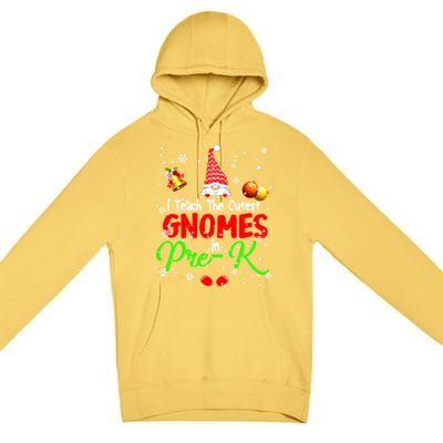 I Teach The Cutest Gnomes In Prek Xmas Teacher Gnome Gift Premium Pullover Hoodie